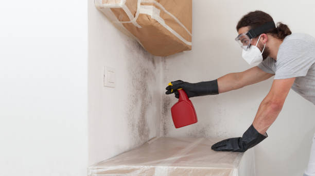 Professional Basement Mold Remediation technician working in Great River, NY