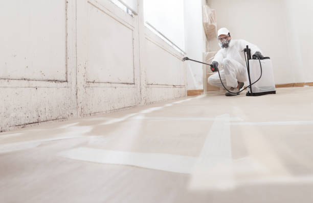 24/7 Emergency Basement Mold Remediation experts in Great River, NY